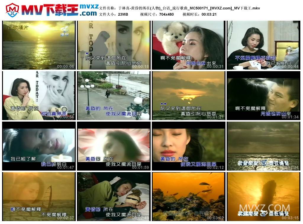 于林真-黄昏的所在(人物)_台语_流行歌曲_MC500171